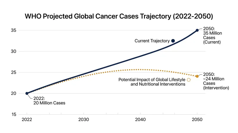 The WHO projects a 77% increase in global cancer cases by 2050, though experts note this curve can be flattened through systemic lifestyle changes.