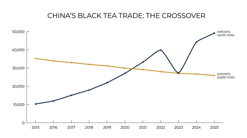 In 2025, China's black tea imports nearly doubled its exports, cementing its status as a net importer.