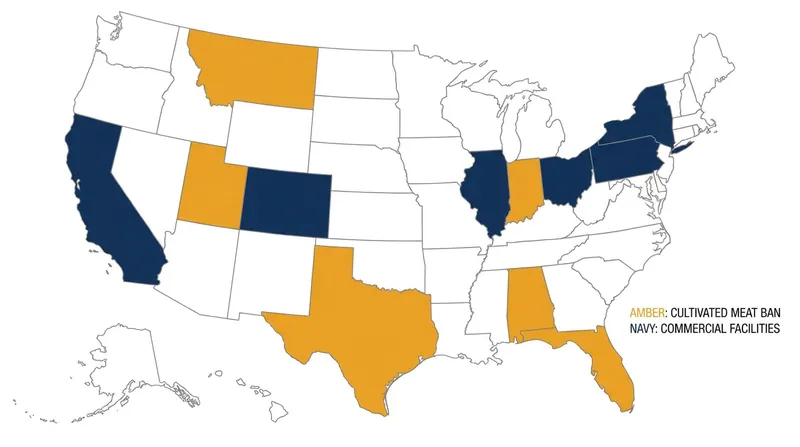 The legislative landscape of cultivated meat bans across the United States.