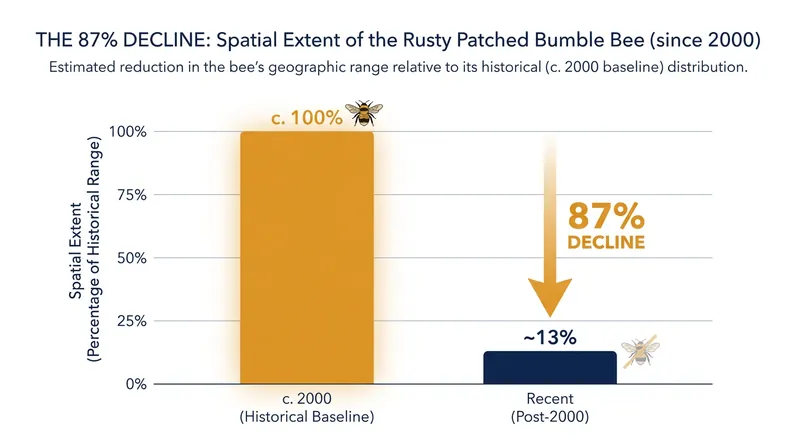 The spatial extent of the rusty patched bumble bee has plummeted since 2000, prompting federal intervention.