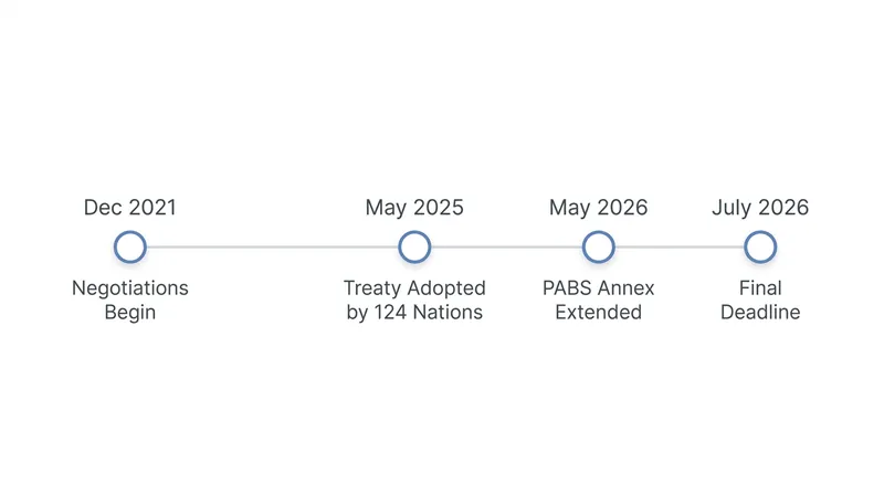 The multi-year timeline to finalize the world's first legally binding pandemic treaty.