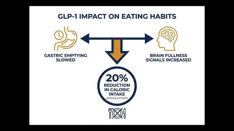 How GLP-1 medications alter the body's relationship with food and portion sizes.