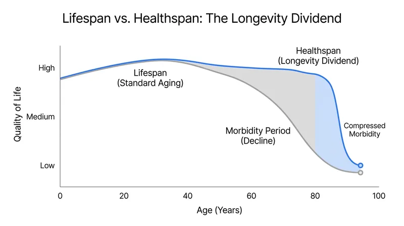The primary goal of longevity medicine is not just to extend lifespan, but to compress the period of illness at the end of life.