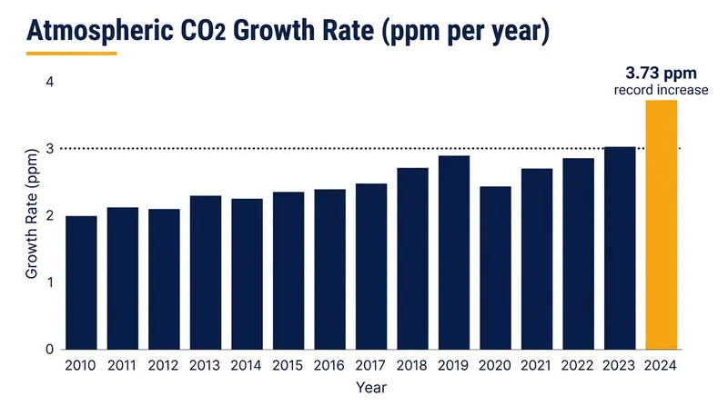 The atmospheric CO2 growth rate hit a record 3.73 ppm in 2024, driven by a failure in natural carbon absorption.