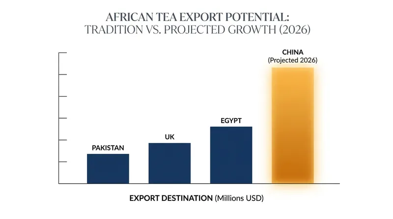 China's zero-tariff policy offers African growers an alternative to traditional, highly concentrated export markets.