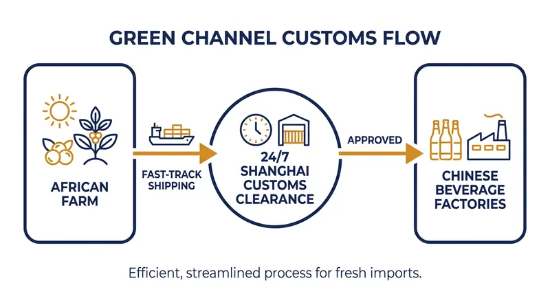 Shanghai Customs has implemented a 24/7 green channel to expedite the entry of perishable African agricultural goods.