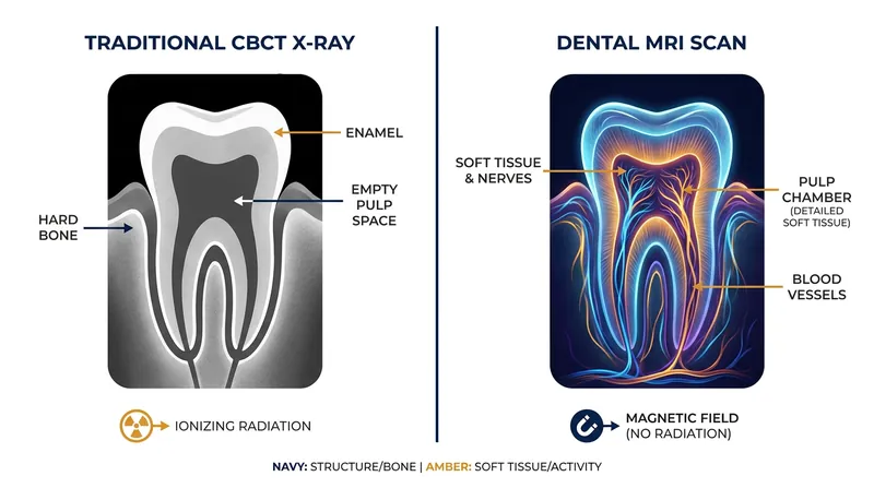 While X-rays excel at imaging bone and enamel, MRI technology illuminates the nerves and soft tissues that keep a tooth alive.
