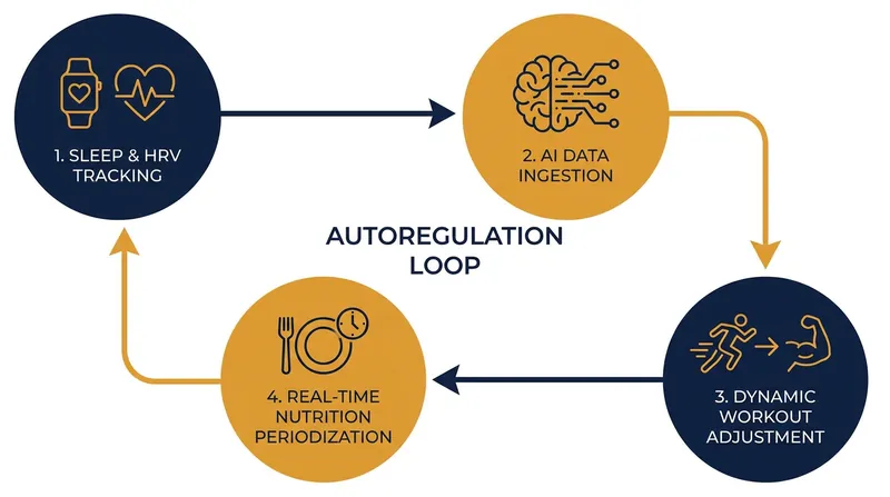 How AI algorithms process overnight biometrics to adjust daily training and fueling.