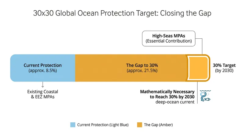 Reaching the global 30x30 conservation target requires large-scale protections in international waters.