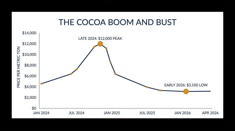 Cocoa futures have plummeted 75% after reaching historic highs in 2024.