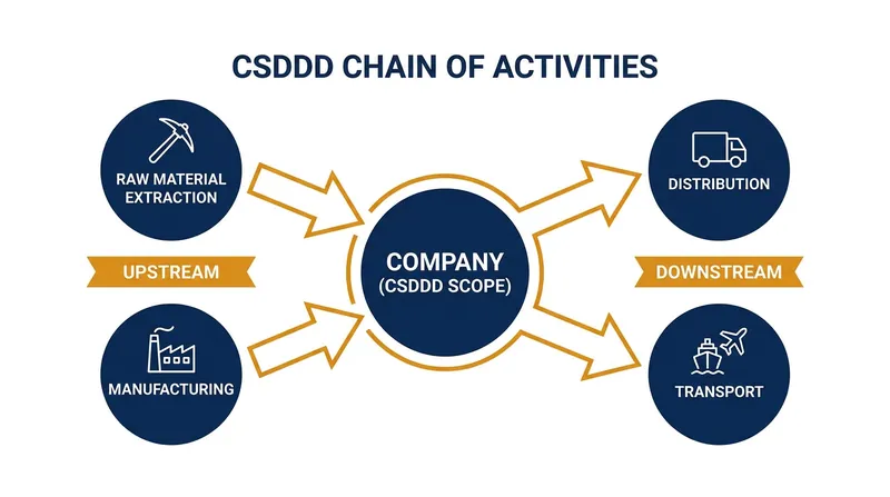 The CSDDD's 'chain of activities' covers both upstream suppliers and specific downstream distribution partners.