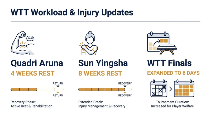 Key injury timelines and schedule adjustments reshaping the 2026 table tennis season.