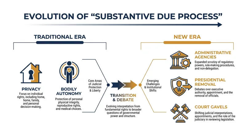 Legal scholars argue the Court has relocated its substantive due process analysis from individual privacy rights to structural administrative law.
