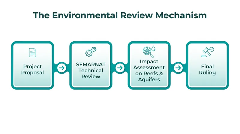 SEMARNAT evaluated the water park, beach club, and pier as an interconnected system rather than isolated projects.