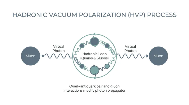The complex interaction of the strong nuclear force that theorists simulated using Lattice QCD.