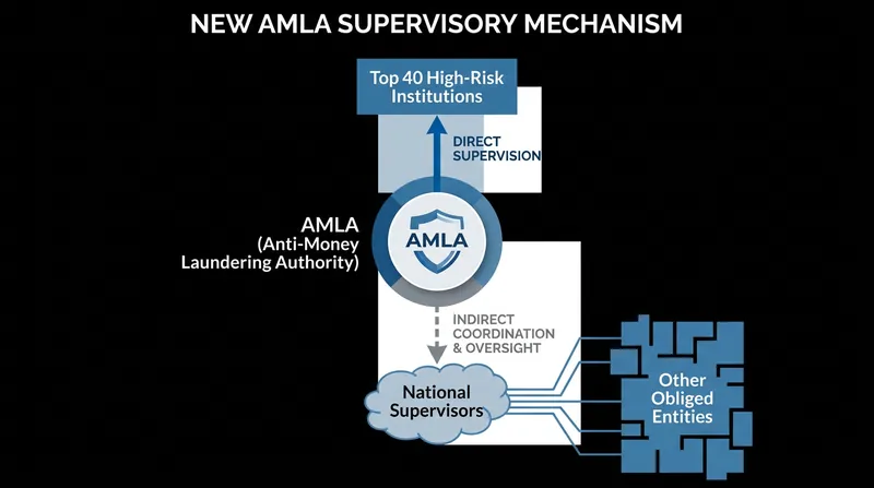 How the Anti-Money Laundering Authority will structure its supervisory powers.