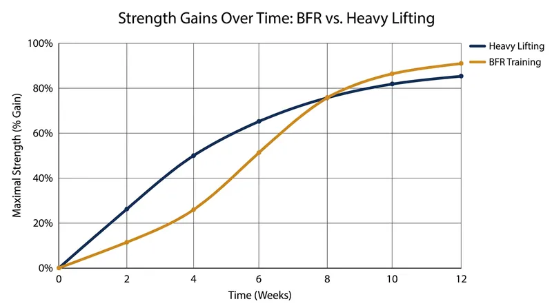 While heavy lifting yields faster initial strength gains, BFR training reliably catches up after eight weeks of consistent programming.