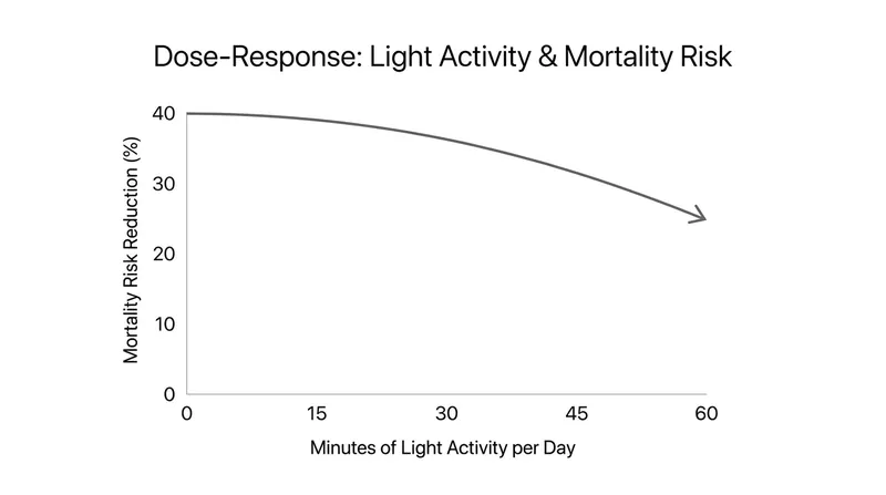 Replacing sedentary time with light activity yields a measurable reduction in all-cause mortality risk.