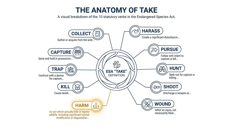 The Endangered Species Act defines illegal 'take' using ten specific verbs, with 'harm' historically being the most broadly interpreted.
