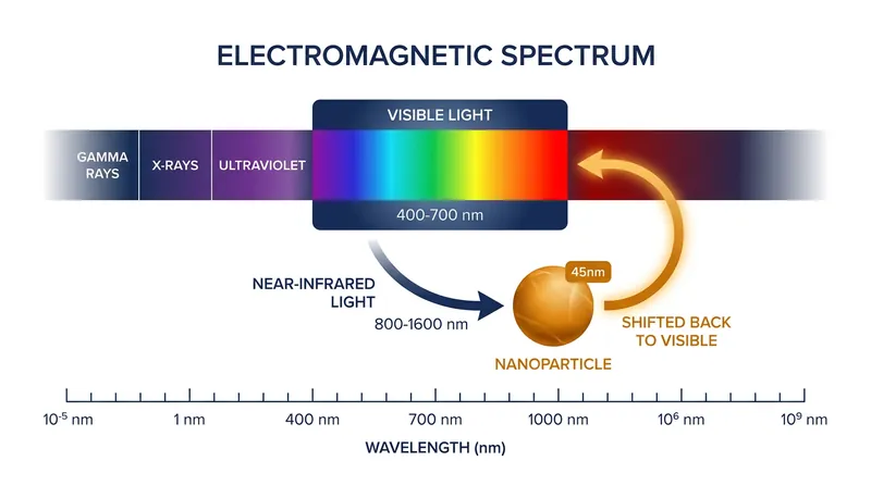 How upconversion nanoparticles shift invisible infrared wavelengths into the visible spectrum.