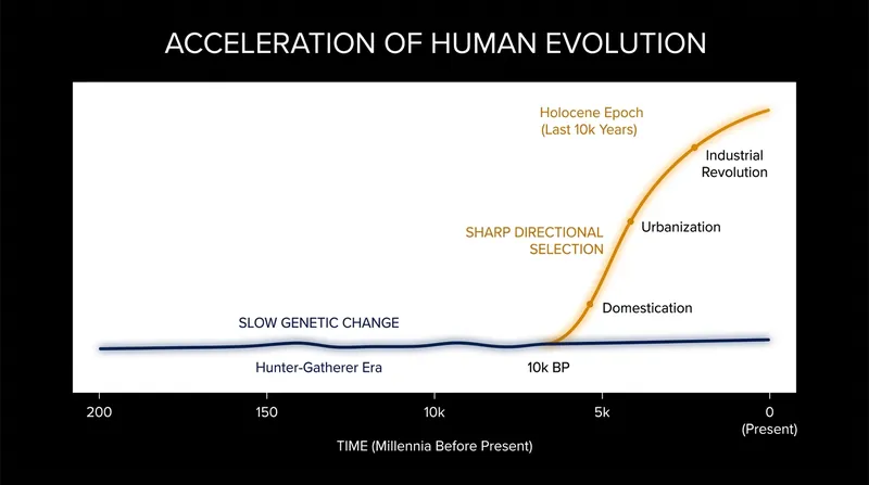 The rate of directional genetic selection spiked significantly after humans transitioned to settled farming.