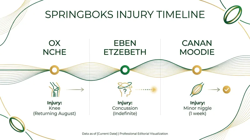South Africa's medical staff is balancing short-term niggles with long-term concussion management.