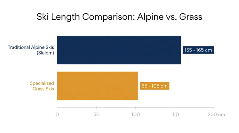 Grass skis are significantly shorter than their winter counterparts, but demand exceptional balance and core stability.