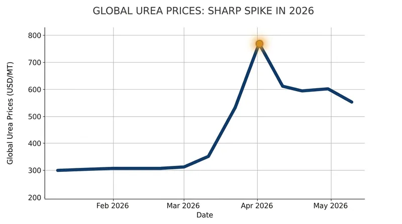 Urea prices doubled in the weeks following the blockade before stabilizing.