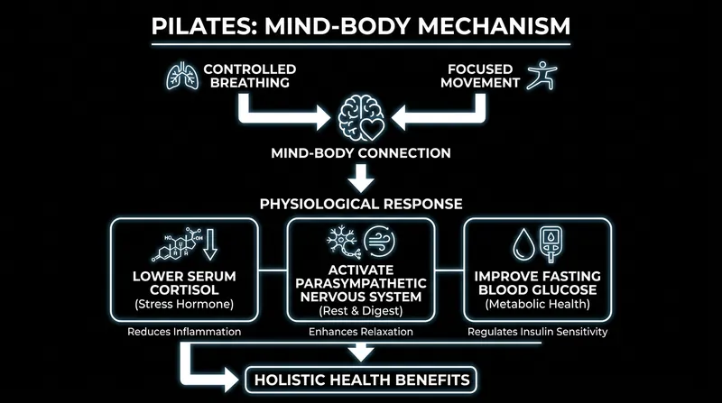 By engaging the parasympathetic nervous system, Pilates helps lower cortisol and mitigate chronic stress.
