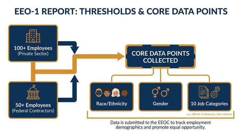 The EEO-1 report has required large employers to categorize their workforce demographics since 1966.