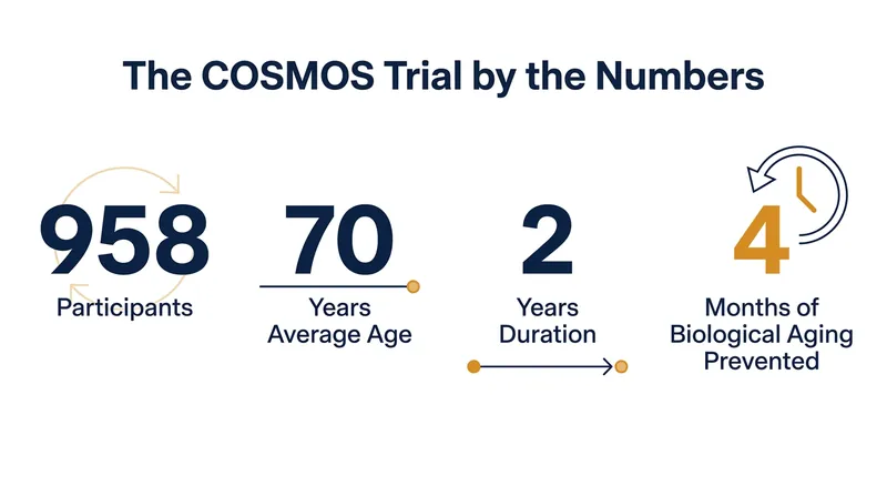 Key statistics from the epigenetic analysis of the COSMOS trial.