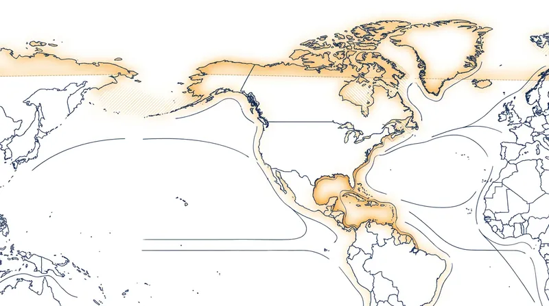 The strategy pivots American focus toward securing the Western Hemisphere.
