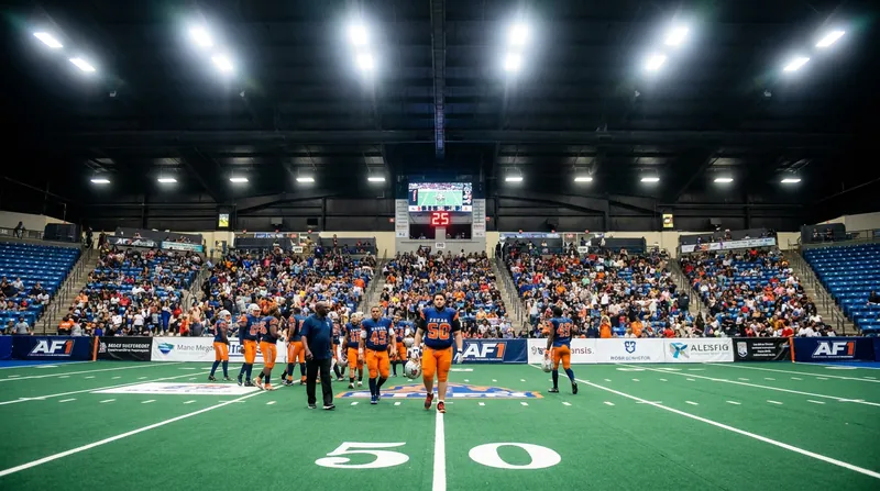 Arena Football One has seen steady attendance and digital growth in its second season.