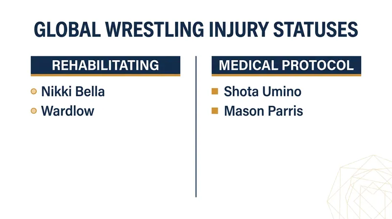 Current medical statuses for top wrestling stars across major global promotions.