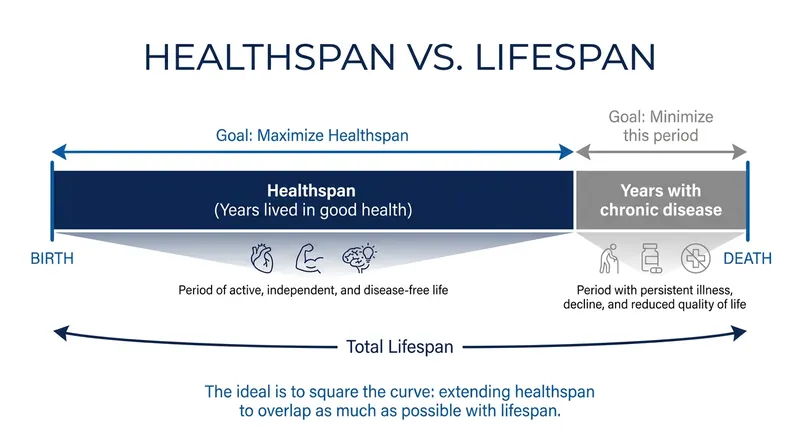The study emphasized that these daily tweaks don't just extend life, but specifically extend the years lived free from chronic disease.