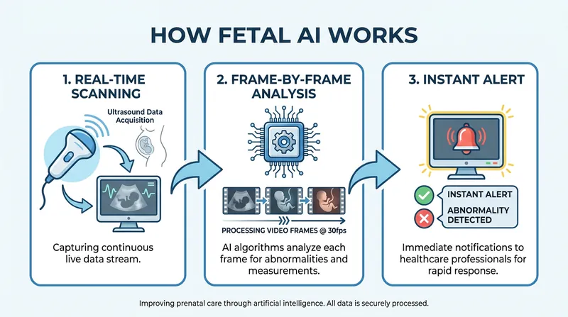 The system does not replace the sonographer; it continuously analyzes the live video feed to ensure all required anatomical views are captured.