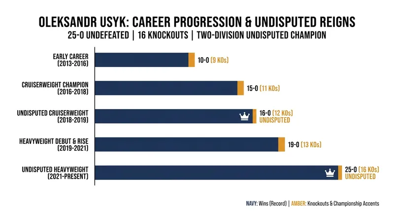 Usyk's unblemished professional record across two weight classes.