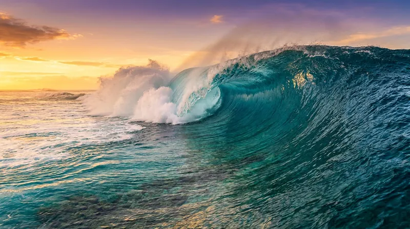 The 2026 World Title will be decided in the heavy waters of Pipeline.