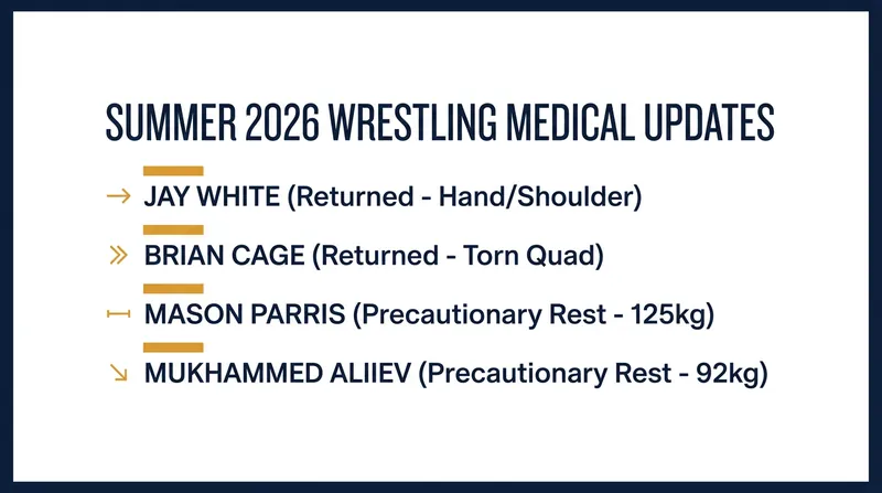 A snapshot of major medical updates across the professional and amateur wrestling landscapes.