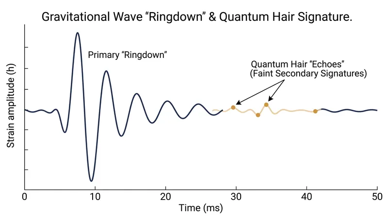 Future gravitational wave observatories may be able to detect faint 'echoes' in the ringdown of black hole mergers, providing experimental proof of quantum hair.