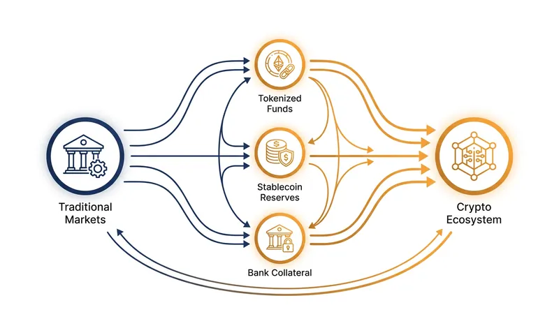 Regulators are mapping new transmission channels where digital liquidity crunches could spill over into traditional fiat markets.