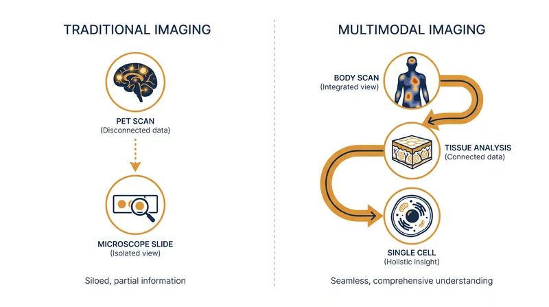 The new approach eliminates the need to choose between macroscopic context and microscopic detail.
