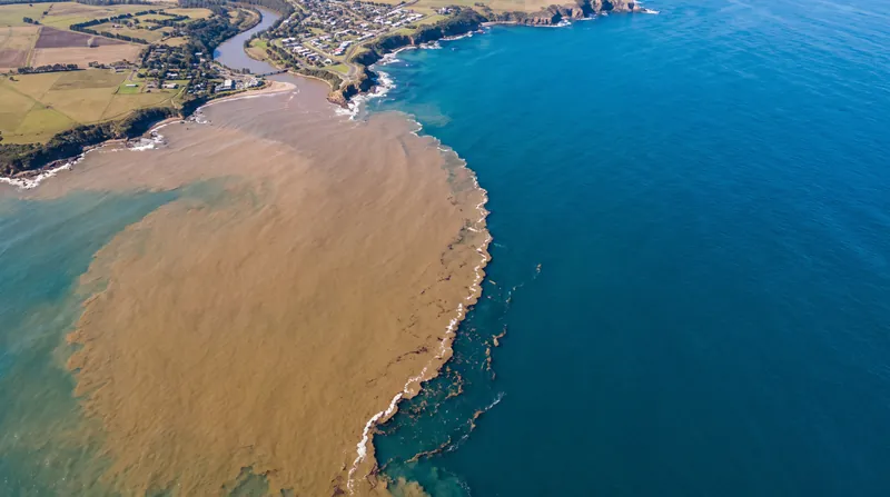 Nutrient pollution from agricultural runoff triggers massive algal blooms that consume oxygen as they decompose.