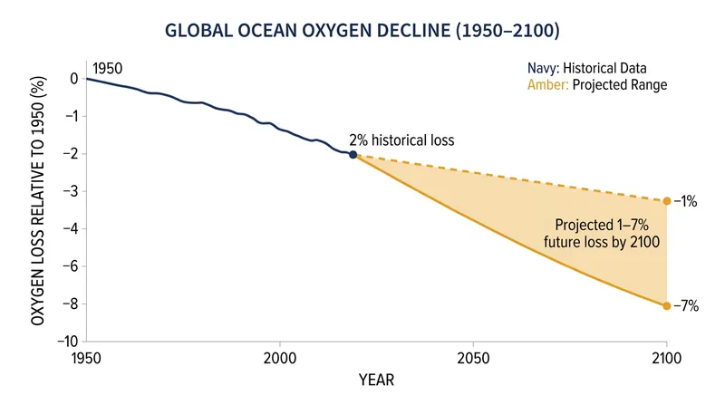 Global ocean oxygen inventory has declined by roughly 2% since the 1950s, with further losses projected by 2100.