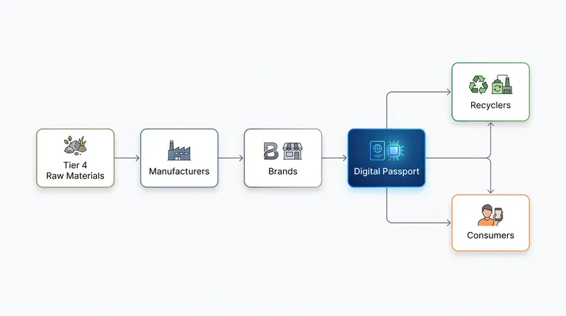 Brands must now map their supply chains down to the raw material level to populate the passport.