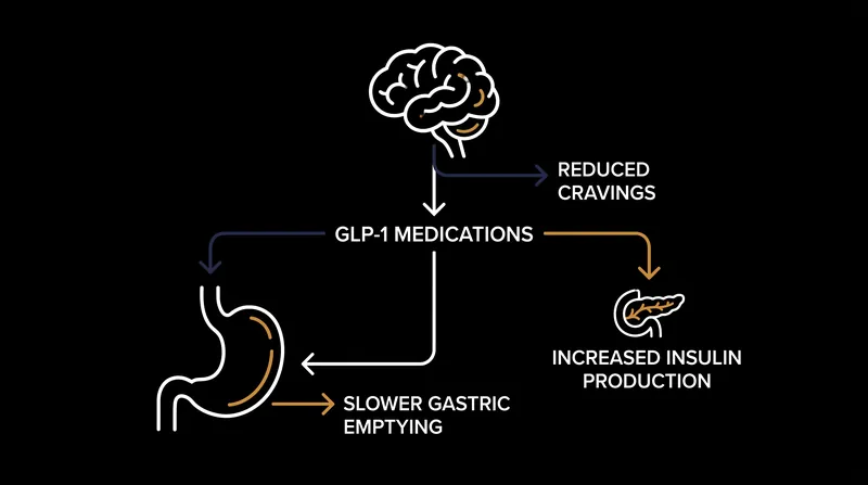 GLP-1 medications alter eating habits by slowing digestion and signaling fullness to the brain.