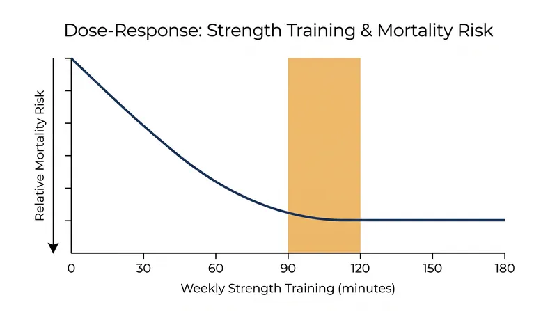 The longevity benefits of resistance training plateau after 120 minutes, showing no additional mortality reduction for higher volumes.
