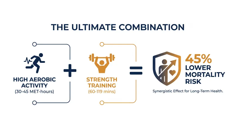 Combining resistance training with high levels of aerobic activity provides the ultimate biological shield against aging.