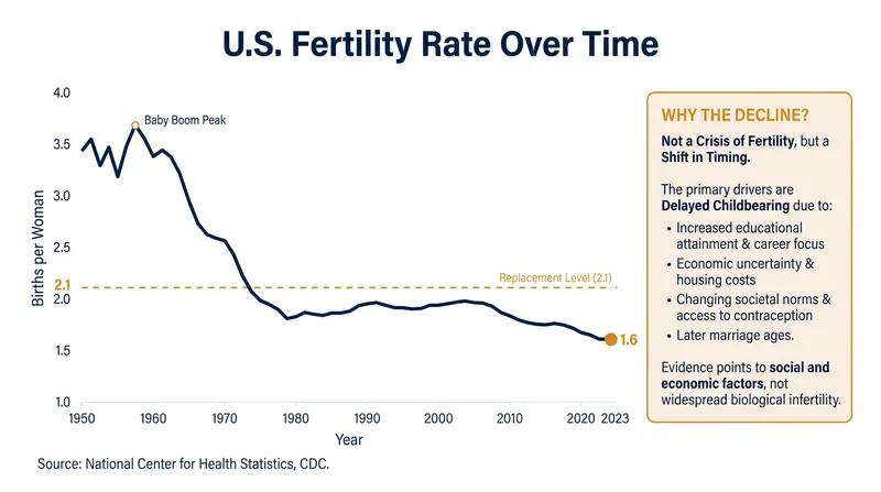U.S. birth rates have declined, but demographers attribute this to economic delays rather than physiological infertility.