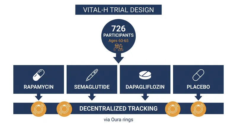 The $38 million trial will track hundreds of adults across four distinct study arms.